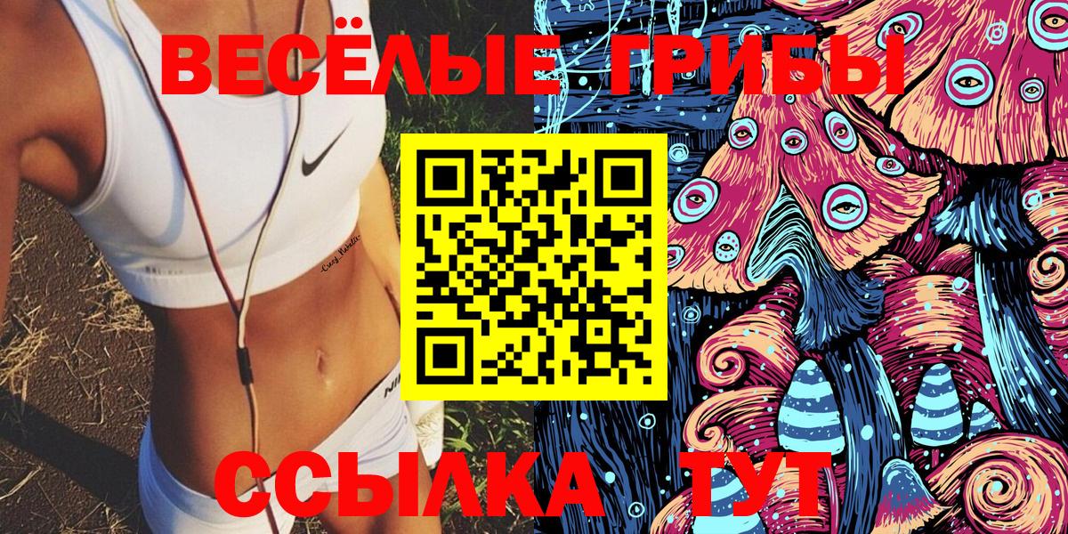 Псилоцибиновые грибы прущие грибы Шумерля