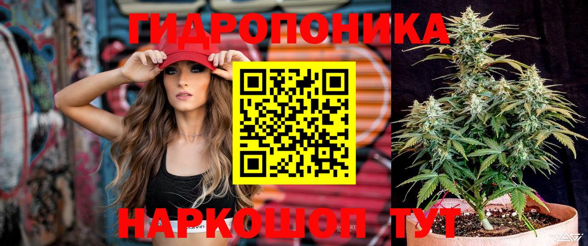 Каннабис SATIVA & INDICA  Вход с VPN  Бошки Шишки AK-47  Каннабис семена  Шумерля 